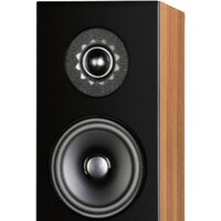 Audio Physic Classic Compact (орех)