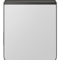 Samsung Galaxy Z Flip5 SM-F731B/DS 8GB/512GB (серый) Image #3