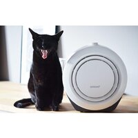 Prime3 SAP21 Image #7