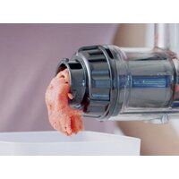 Biochef Axis Cold Press Juicer BCAX (серебристый) Image #4