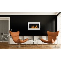 BiokominkiGMT 650x400 (белый, со стеклом) Image #2