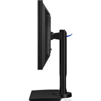 BenQ Business BL2420PT Image #5