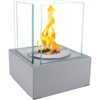 BiokominkiGMT Smart (серый)