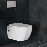 Roxen Cube Bidet One Rimless 6 в 1 StounFix Dual Fresh 569118 (кнопка: матовая) Image #12