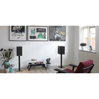 DALI Oberon 3 Black Ash Image #6