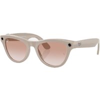 Ray-Ban Meta Skyler RW4010 (серый глянцевый/розовый)