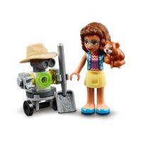 LEGO Friends 41425 Цветочный сад Оливии Image #4