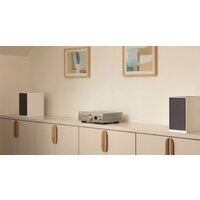 Denon PMA-900HNE (серебристый) Image #6