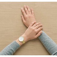 Skagen SKW2722 Image #3