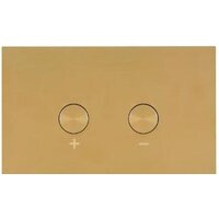 OLI Blink 883246 (золото)