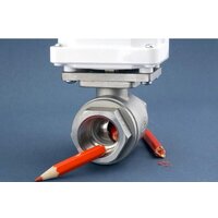 Gidrolock Winner Bonomi 3/4" Image #4