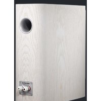 Dynaudio Contour 20 (белый дуб, матовый) Image #4
