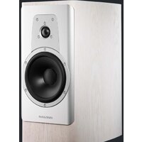 Dynaudio Contour 20 (белый дуб, матовый) Image #3