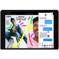 Apple iPad 10.2" 2021 64GB 5G MK493 (серебристый) Image #8