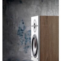 DALI Oberon 1 Light Oak Image #4