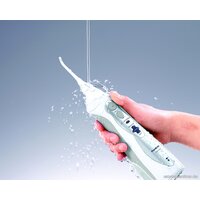 Panasonic EW1411 Image #2