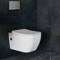 Roxen Cube Bidet One Rimless 6 в 1 StounFix Dual Fresh 608961 (кнопка: матовая) Image #10