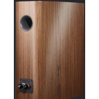 Dynaudio Contour 20 (светлый орех, матовый) Image #5