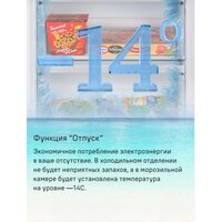 MAUNFELD MFF200NFB Inverter Image #16