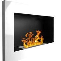 BiokominkiGMT 650x400 (белый) Image #1