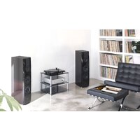 Sony PS-HX500 Image #5