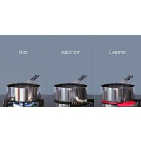 Electrolux Serie 300 Domino LIT30231C Image #5