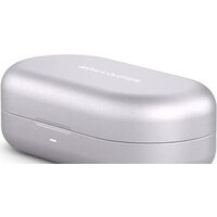 Bang & Olufsen Beoplay EQ (северный лед) Image #5