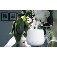 Stadler Form Julia (белый) Image #6