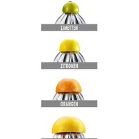 Gastroback 41150 Image #12