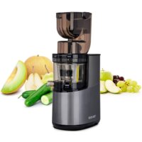 Biochef Atlas Pro Whole Slow Juicer DCWA400 (серебристый) Image #2