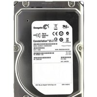 Seagate Constellation ES.2 2TB (ST32000645SS)
