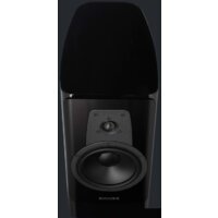 Dynaudio Contour 20 (черный рояльный лак) Image #4