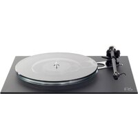 Rega Planar 6 (Ania MC)