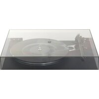 Rega Planar 6 (Ania MC) Image #2