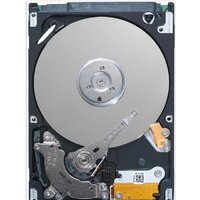 Seagate Cheetah T10 SAS ST3300555SS 300GB