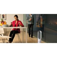 Dyson AM05 белый/серебристый Image #3