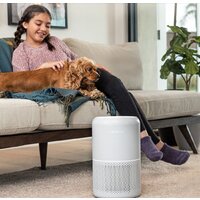 Levoit Core P350 Image #7