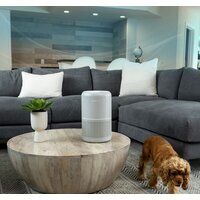 Levoit Core P350 Image #10