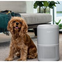 Levoit Core P350 Image #6