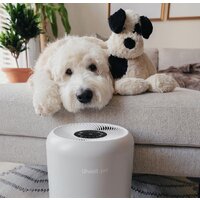 Levoit Core P350 Image #9