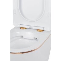Roxen Antares Gold в комплекте с инсталляцией StounFix Dual Fresh 6 в 1 850609 (кнопка: белый глянец) Image #8