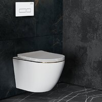 Roxen Antares Gold в комплекте с инсталляцией StounFix Dual Fresh 6 в 1 850609 (кнопка: белый глянец) Image #10