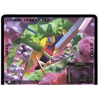 Apple iPad Pro 12.9" 2022 2TB MNY03 (серебристый) Image #6