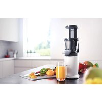 Sharp SA-FJ3001W Image #8