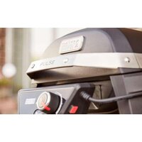 Weber Pulse 1000 Image #6