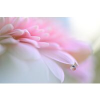 Nikon Z6 III Kit 24-120mm f/4 S Image #30