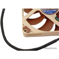 Noctua NH-L9i Image #14