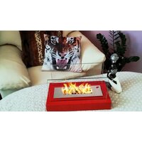 BiokominkiGMT Home (красный) Image #3