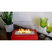 BiokominkiGMT Home (красный) Image #2