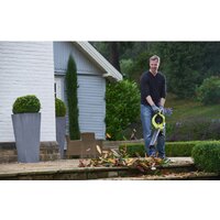 Ryobi RBV36B [5133002524] Image #3